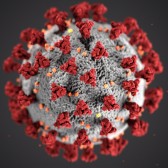 Coronavirus.jpg